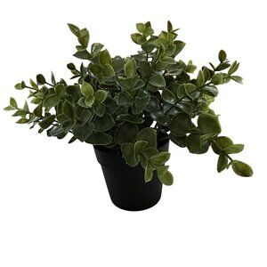 Ikea Fejka Oregano Artificial Potted Plant Fake Herb Faux 103.751.59 3.5"